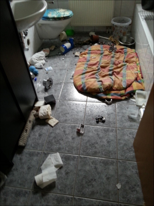 Amica - Bad demoliert