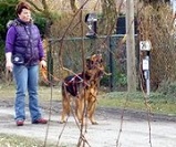 Ben_Hundebegegnung_1