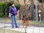 Ben_Hundebegegnung_3