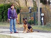 Ben_Hundebegegnung_4