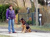 Ben_Hundebegegnung_5