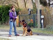 Ben_Hundebegegnung_6